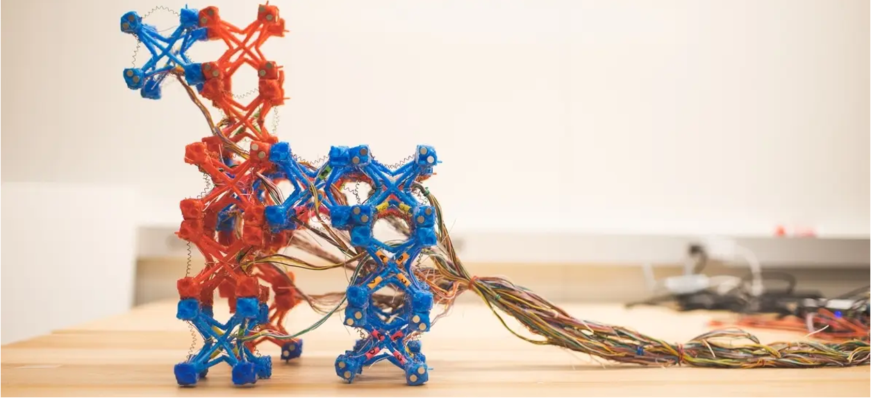 Terrestrial Modular Soft Robots