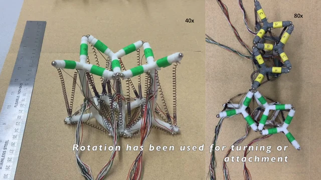 Soft Lattice Modules That Behave Independently and Collectively teaser